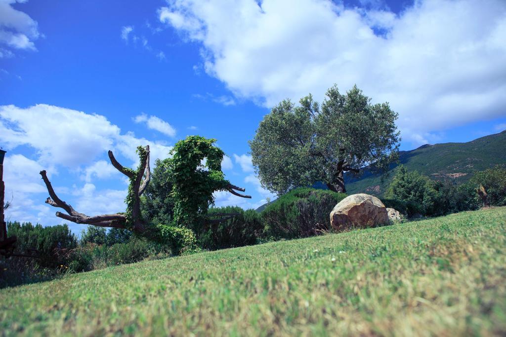 Agriturismo Il Ginepro Fluminimaggiore Exterior foto