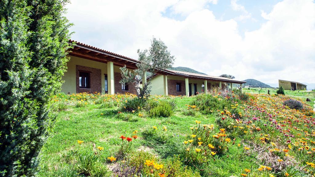 Agriturismo Il Ginepro Fluminimaggiore Habitación foto