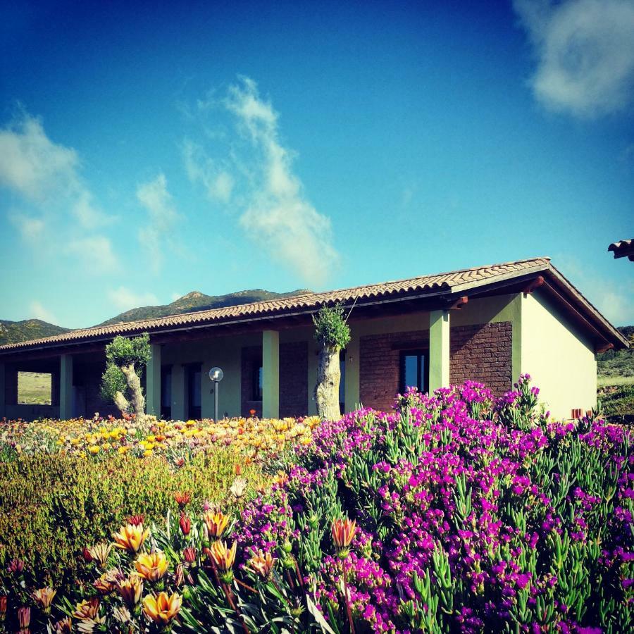 Agriturismo Il Ginepro Fluminimaggiore Exterior foto